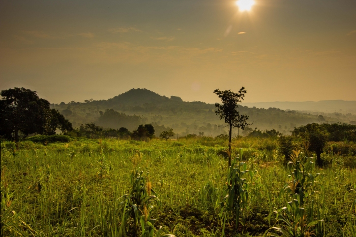 File:Landscape in the Budongo-Bugoma region (photo by Jack Lester) 2.jpg