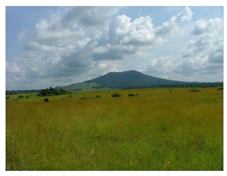 File:Landscape Fouari.jpg