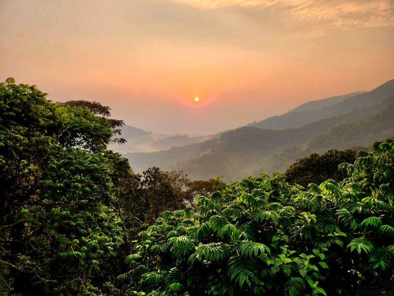 File:Landscape NyungweNP copyright Cyril Grueter.jpg