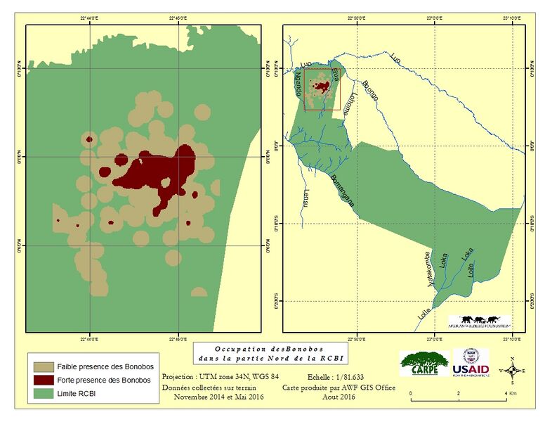 File:Bonobos Distribution.jpg