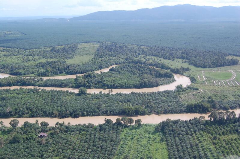 File:Kinabat hutan.jpg