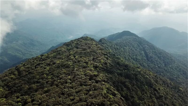 File:Hills JayWhite.jpg