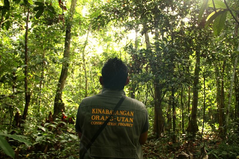 File:Conser HUTAN.jpg
