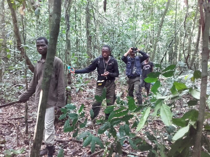 File:Biomonitoring team.jpg