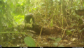 Thumbnail for version as of 18:48, 29 October 2026